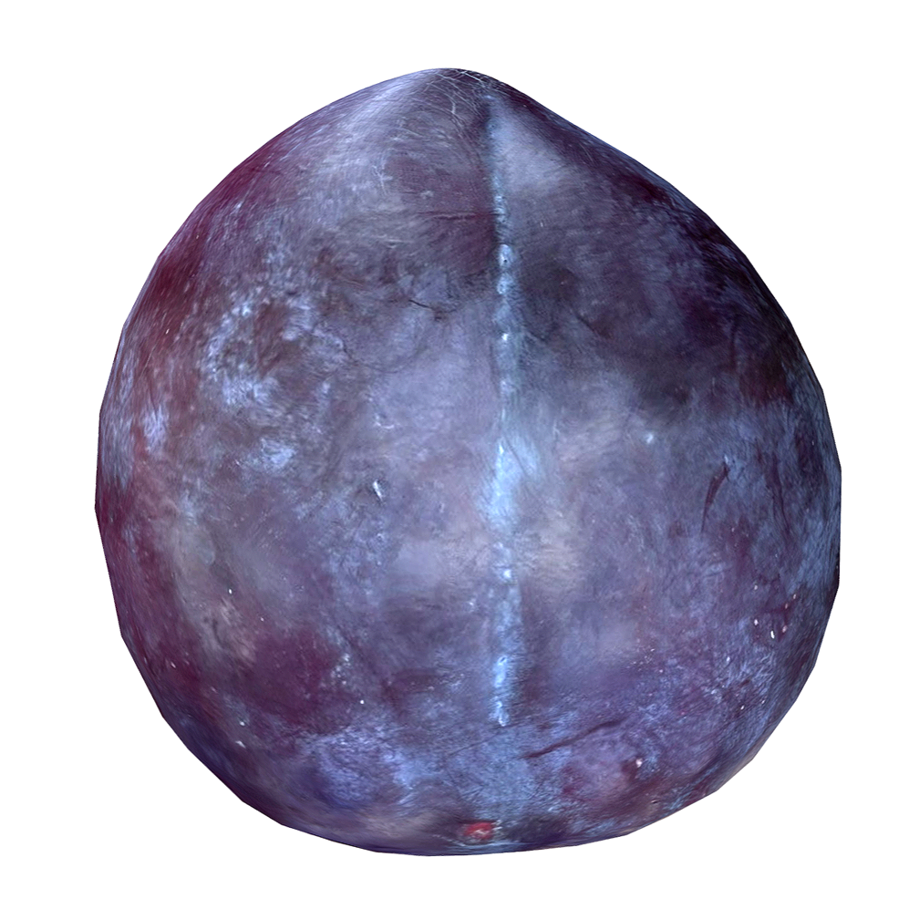 黑李子3D模型 | 果实,植物,水果,水果3D模型,蔷薇科,李子,山李子,黑李子,黑布朗,黑玫瑰李,3D模型,3D打印,3D素材,obj,glTF,fbx,dae,stl,3ds,glb,usdz,3dmax,blender模型,VisionPro,3D建模,3D扫描,3d打印模型