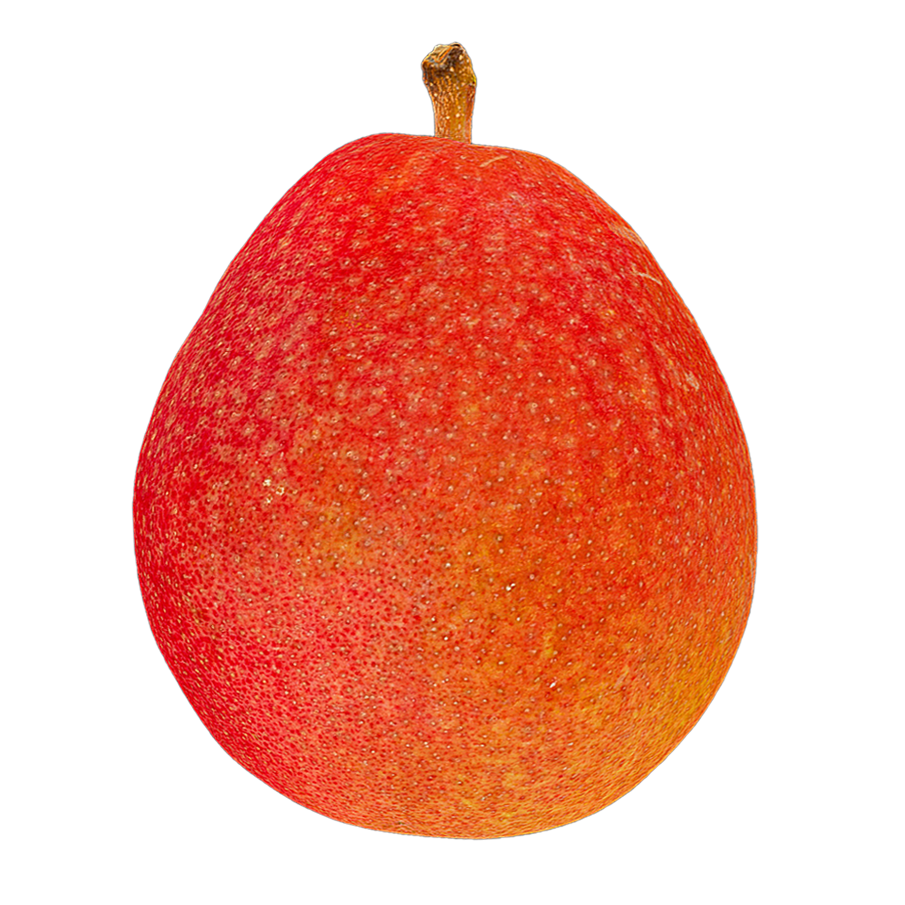 早酥红梨 | 果实,植物,水果,水果3D模型,梨子,梨,蔷薇科,早酥红梨,红梨,早酥梨,3D模型,3D打印,3D素材,obj,glTF,fbx,dae,stl,3ds,glb,usdz,3dmax,blender模型,VisionPro,3D建模,3D扫描,3d打印模型