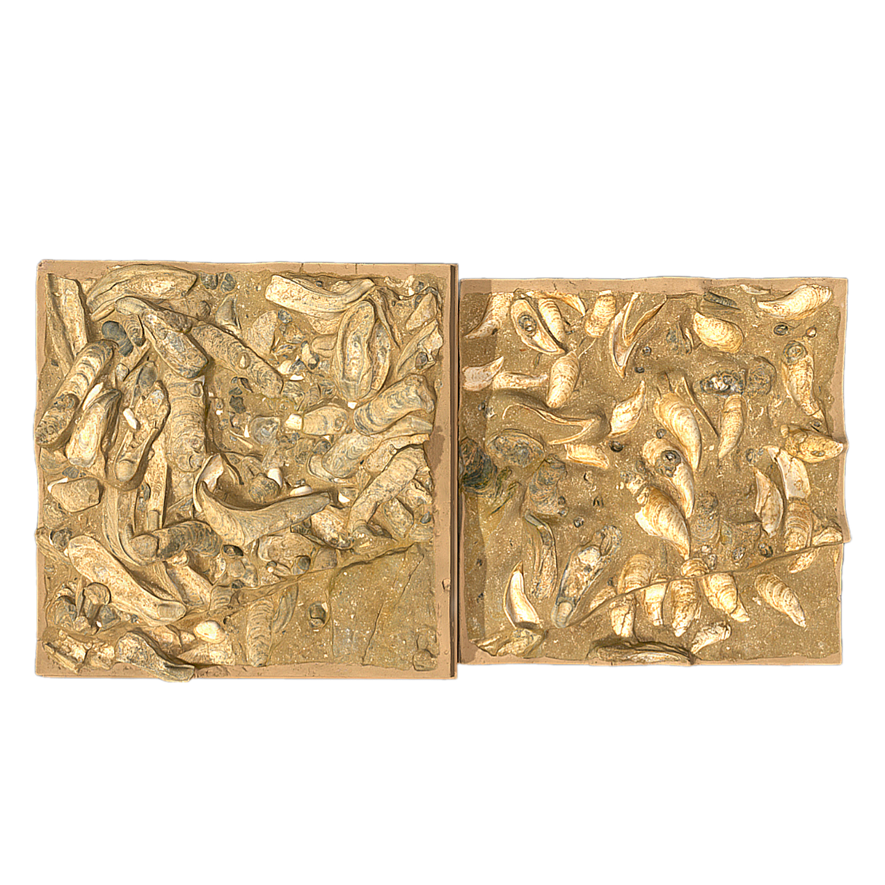 牡蛎礁化石 | 博物馆藏品,化石,化石3D模型,维也纳自然历史博物馆,牡蛎,牡蛎礁化石,古代牡蛎,牡蛎化石,生物化石,3D模型,3D打印,3D素材,obj,glTF,fbx,dae,stl,3ds,glb,usdz,3dmax,blender模型,VisionPro,3D建模,3D扫描,3d打印模型