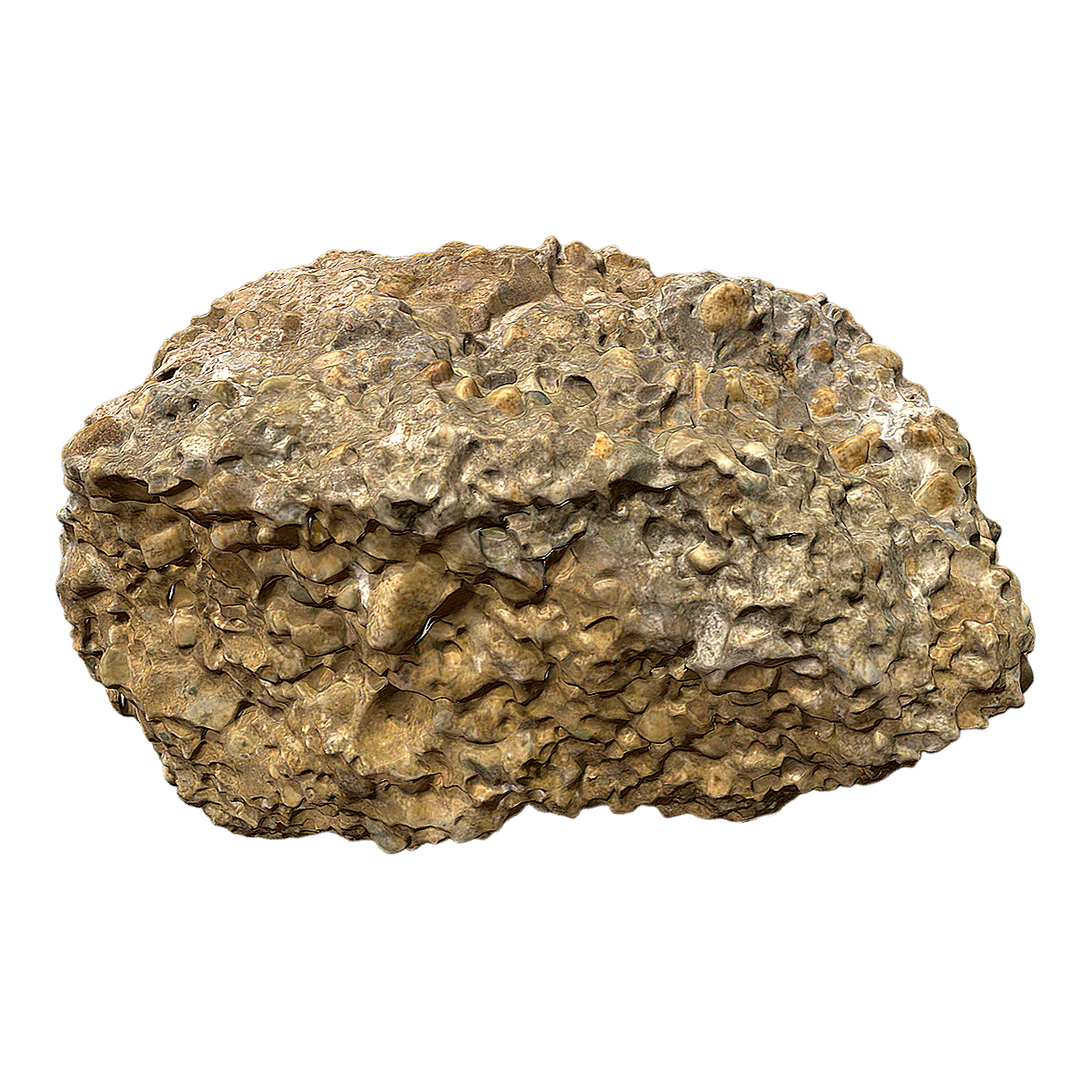 古多瑙河腹足类贝壳砾石 | 岩石,化石,沉积岩,考古化石,腹足类贝壳,贝壳化石,古多瑙河腹足类,贝壳砾石,砾石,古多瑙河砾石,3D模型,3D打印,3D素材,obj,glTF,fbx,dae,stl,3ds,glb,usdz,3dmax,blender模型,VisionPro,3D建模,3D扫描,3d打印模型