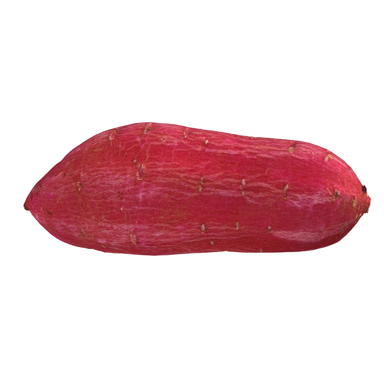 红薯