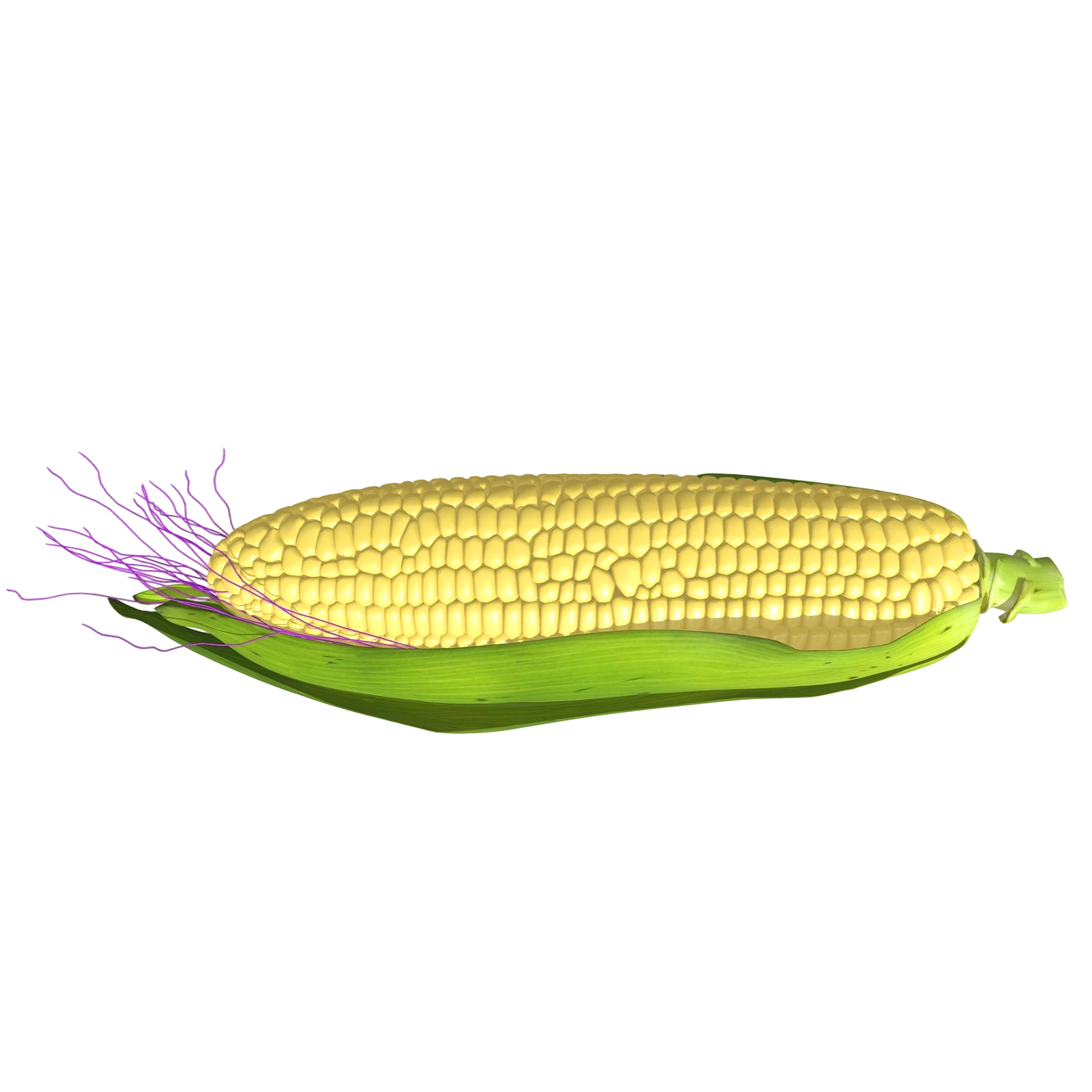 剥好的玉米 | 蔬菜,果蔬,食材,玉米,蔬菜3D模型,剥好的玉米,玉米模型,3D模型,3D打印,3D素材,obj,glTF,fbx,dae,stl,3ds,glb,usdz,3dmax,blender模型,VisionPro,3D建模,3D扫描,3d打印模型