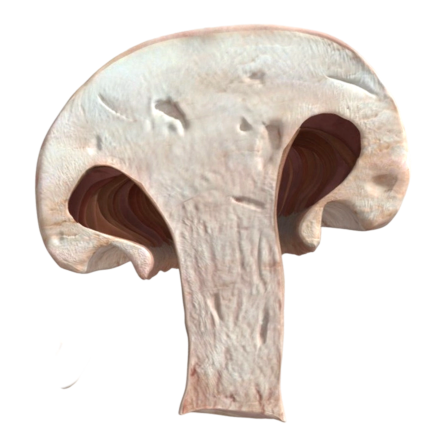 切开的口蘑 | 蔬菜,食材,蘑菇,蘑菇3D模型,真菌,可食用菌,药材,食用菌,口蘑,切开的口蘑,3D模型,3D打印,3D素材,obj,glTF,fbx,dae,stl,3ds,glb,usdz,3dmax,blender模型,VisionPro,3D建模,3D扫描,3d打印模型