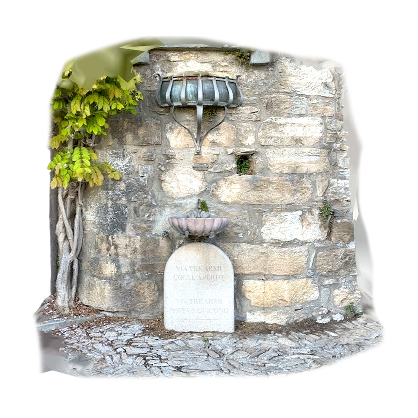 贝加莫小喷泉 | 建筑,喷泉,历史建筑,喷泉3D模型,意大利建筑,公共喷泉,意大利喷泉,贝加莫小喷泉,3D模型,3D打印,3D素材,obj,glTF,fbx,dae,stl,3ds,glb,usdz,3dmax,blender模型,VisionPro,3D建模,3D扫描,3d打印模型