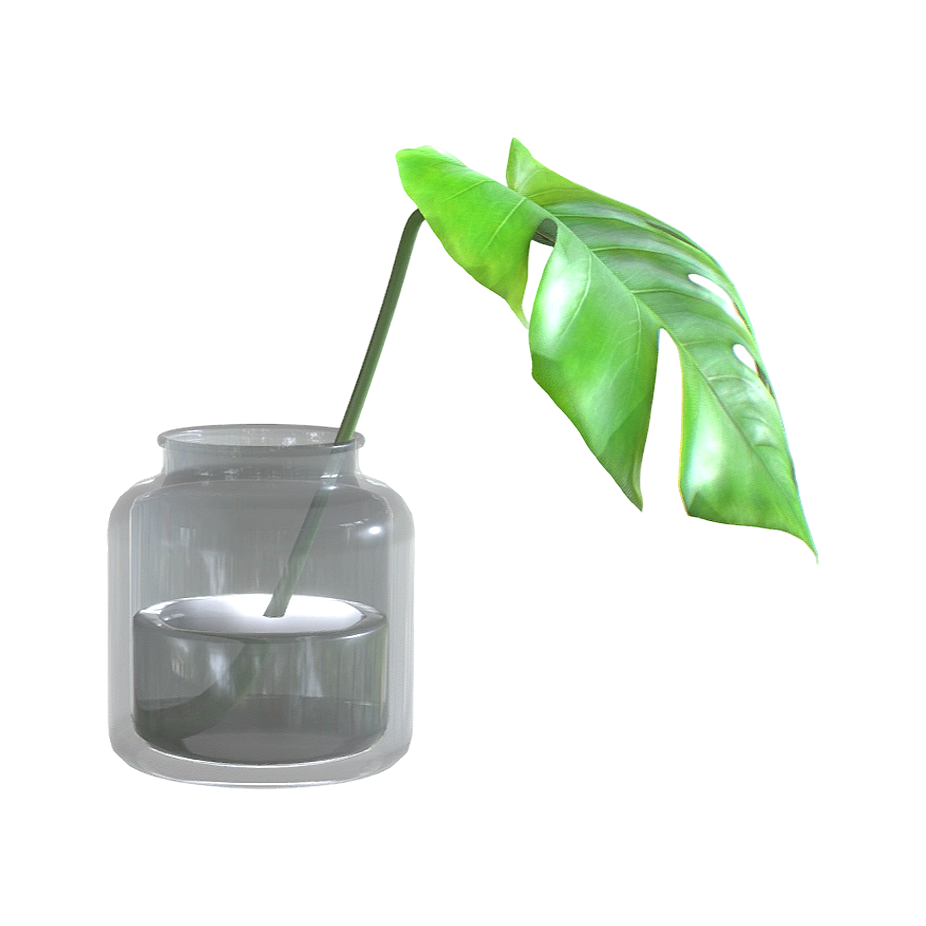 水培龟背竹 | 盆栽,植物,龟背竹,植物3D模型,天南星科,水培植物,水培盆栽,水培龟背竹,3D模型,3D打印,3D素材,obj,glTF,fbx,dae,stl,3ds,glb,usdz,3dmax,blender模型,VisionPro,3D建模,3D扫描,3d打印模型