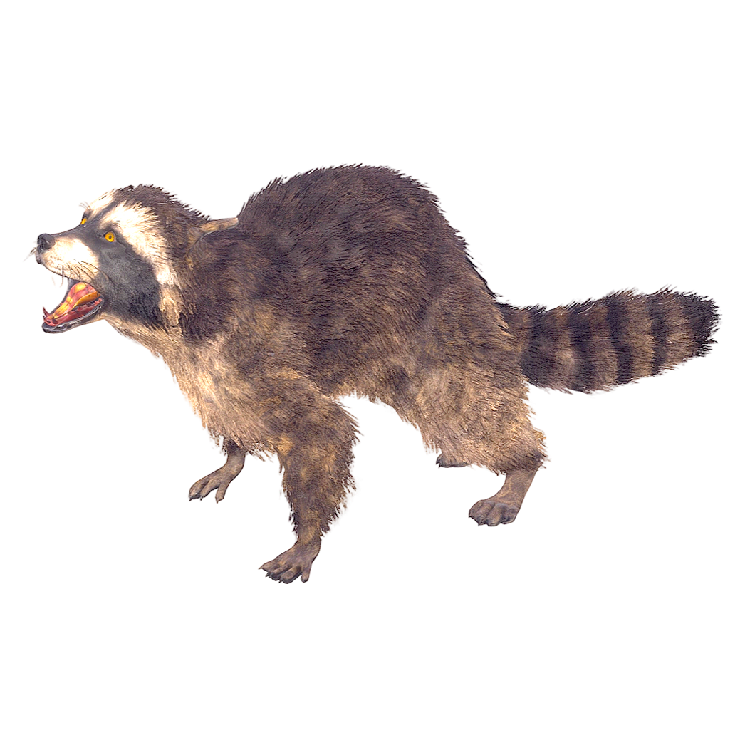 逼真的浣熊（3D动画模型） | 哺乳动物,动物3D模型,浣熊,浣熊科,动物3D动画,动物动画模型,ProcyonLotor,浣熊3D动作模型,3D模型,3D打印,3D素材,obj,glTF,fbx,dae,stl,3ds,glb,usdz,3dmax,blender模型,VisionPro,3D建模,3D扫描,3d打印模型