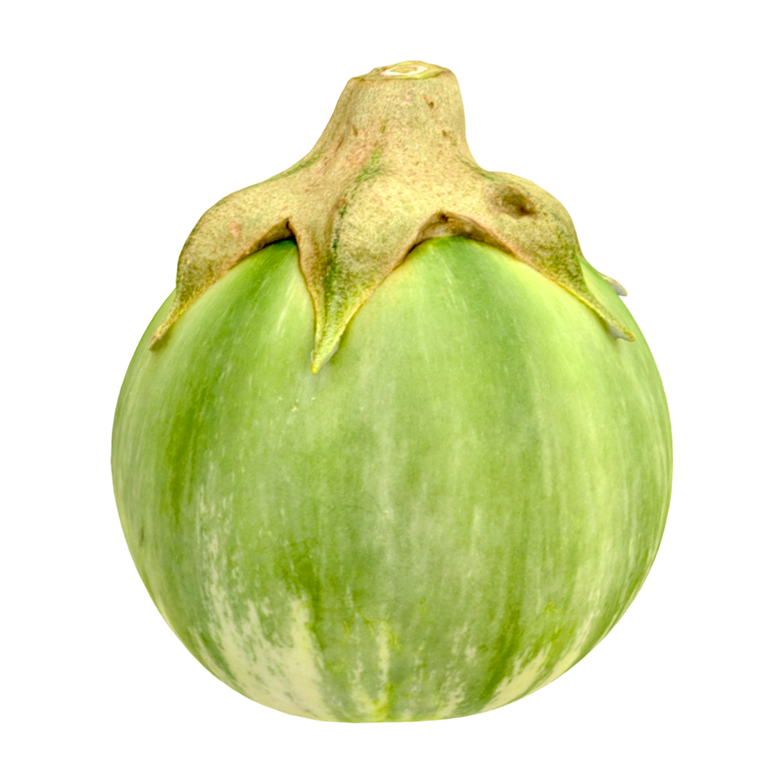 早青茄 | 蔬菜,果蔬,植物,茄子,茄子3D模型,早青茄,3D模型,3D打印,3D素材,obj,glTF,fbx,dae,stl,3ds,glb,usdz,3dmax,blender模型,VisionPro,3D建模,3D扫描,3d打印模型