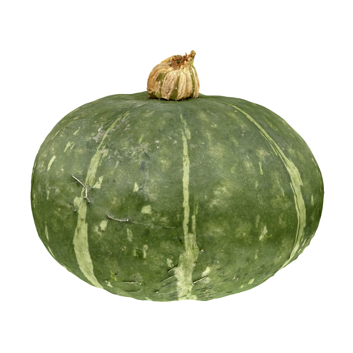 南瓜 | 蔬菜,果蔬,植物,南瓜3D模型,南瓜,3D模型,3D打印,3D素材,obj,glTF,fbx,dae,stl,3ds,glb,usdz,3dmax,blender模型,VisionPro,3D建模,3D扫描,3d打印模型