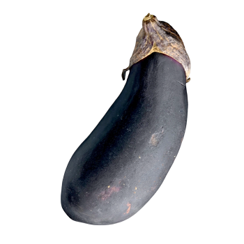 茄子