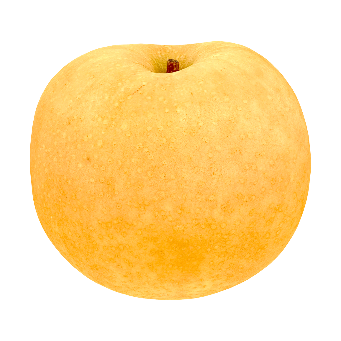 雪梨 | 果实,果蔬,植物,水果,梨子3D模型,梨子,雪梨,梨,3D模型,3D打印,3D素材,obj,glTF,fbx,dae,stl,3ds,glb,usdz,3dmax,blender模型,VisionPro,3D建模,3D扫描,3d打印模型