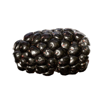 黑莓