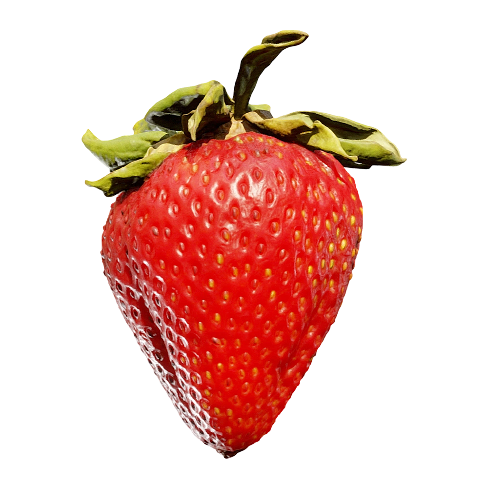 草莓 | 果实,果蔬,植物,水果,草莓3D模型,草莓,3D模型,3D打印,3D素材,obj,glTF,fbx,dae,stl,3ds,glb,usdz,3dmax,blender模型,VisionPro,3D建模,3D扫描,3d打印模型