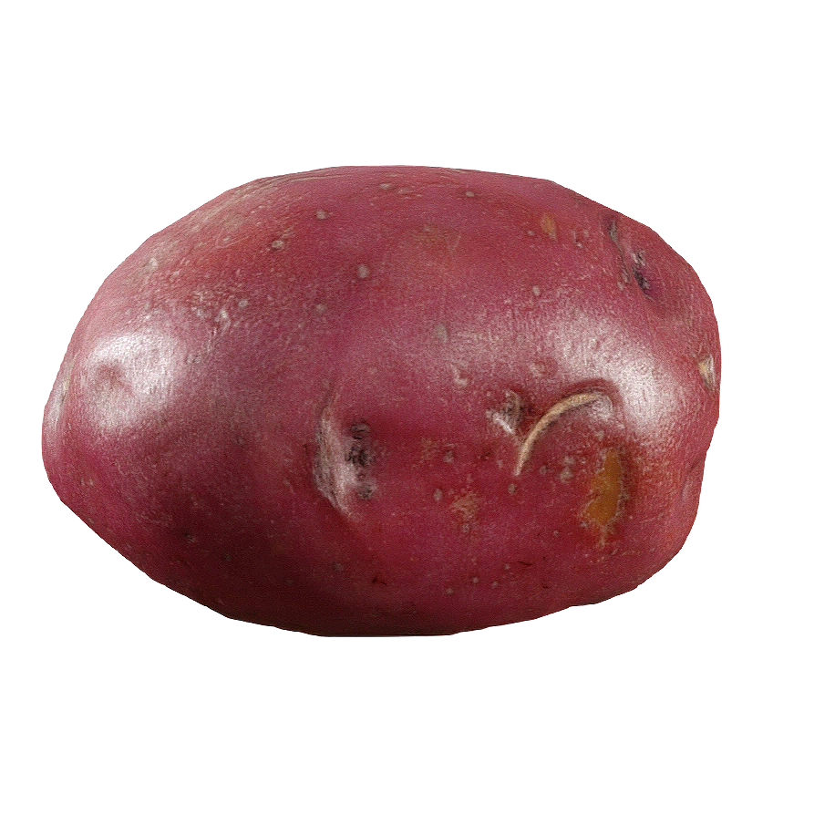 红土豆 | 蔬菜,果蔬,植物,食材,马铃薯,土豆,红土豆,红马铃薯,土豆3D模型,3D模型,3D打印,3D素材,obj,glTF,fbx,dae,stl,3ds,glb,usdz,3dmax,blender模型,VisionPro,3D建模,3D扫描,3d打印模型