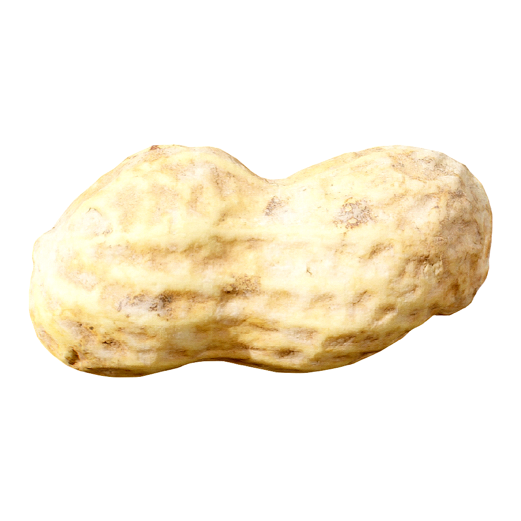 干花生 | 果实,坚果,植物,食材,花生,花生3D模型,干花生,3D模型,3D打印,3D素材,obj,glTF,fbx,dae,stl,3ds,glb,usdz,3dmax,blender模型,VisionPro,3D建模,3D扫描,3d打印模型