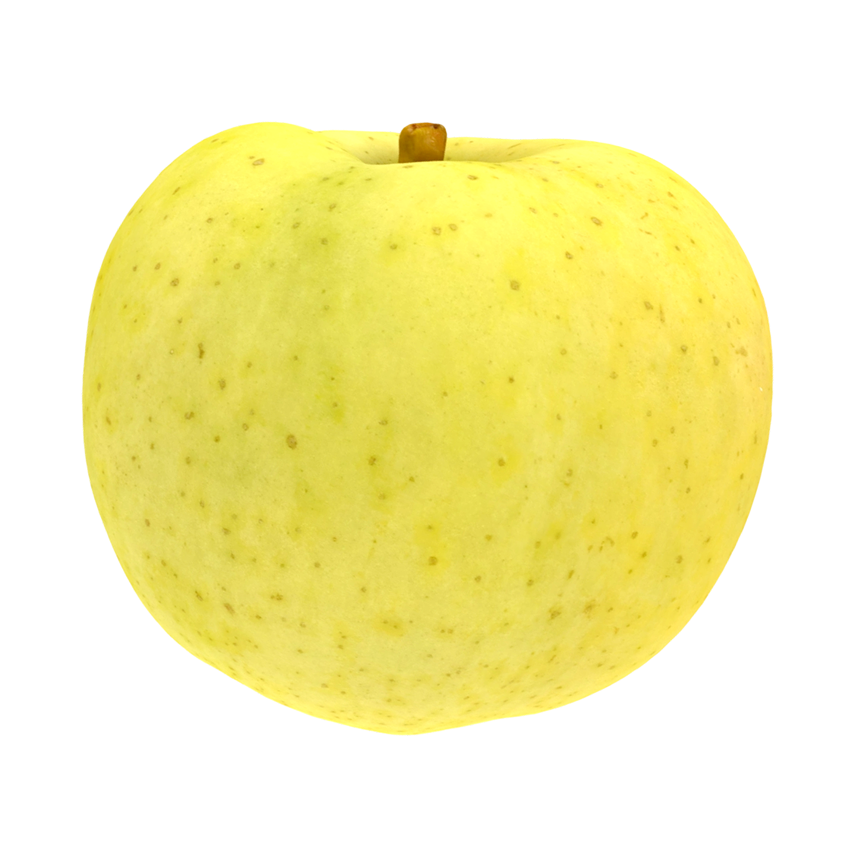 杂交的青苹果 | 果实,果蔬,植物,水果,苹果,青苹果,苹果3D模型,杂交苹果,杂交品种,3D模型,3D打印,3D素材,obj,glTF,fbx,dae,stl,3ds,glb,usdz,3dmax,blender模型,VisionPro,3D建模,3D扫描,3d打印模型