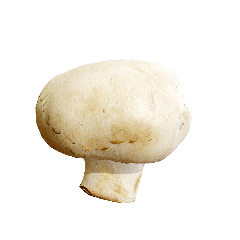 白纽扣蘑菇 | 食材,蘑菇,蘑菇3D模型,真菌,双孢蘑菇,白蘑菇,白纽扣蘑菇,3D模型,3D打印,3D素材,obj,glTF,fbx,dae,stl,3ds,glb,usdz,3dmax,blender模型,VisionPro,3D建模,3D扫描,3d打印模型