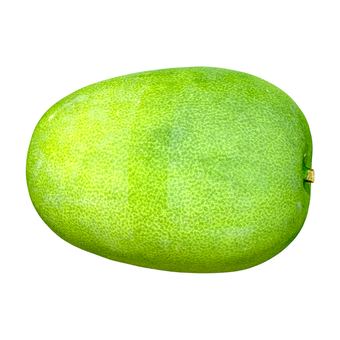 冬瓜 | 蔬菜,果蔬,植物,食材,瓜果,冬瓜,冬瓜3D模型,3D模型,3D打印,3D素材,obj,glTF,fbx,dae,stl,3ds,glb,usdz,3dmax,blender模型,VisionPro,3D建模,3D扫描,3d打印模型