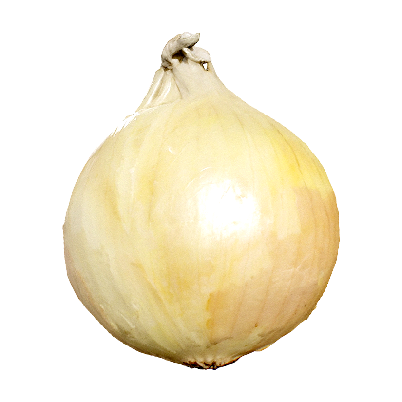 黄皮洋葱 | 蔬菜,果蔬,植物,食材,洋葱3D模型,洋葱,黄皮洋葱,黄洋葱,3D模型,3D打印,3D素材,obj,glTF,fbx,dae,stl,3ds,glb,usdz,3dmax,blender模型,VisionPro,3D建模,3D扫描,3d打印模型