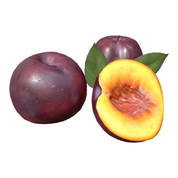 黑李