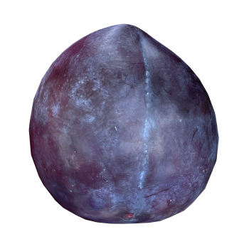 李子