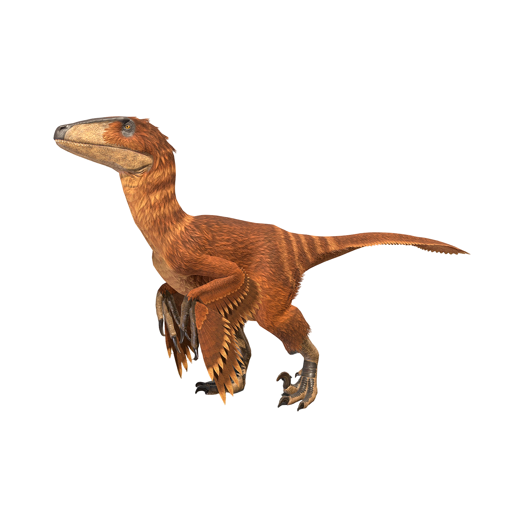恐爪龙（3D动画模型）3D模型预览图，支持gltf,stl,blend,fbx,glb格式下载