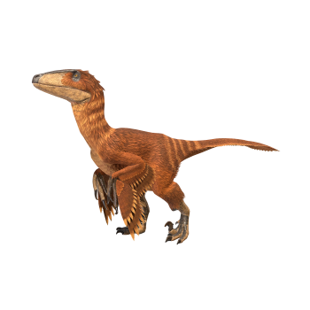 恐爪龙（3D动画模型）