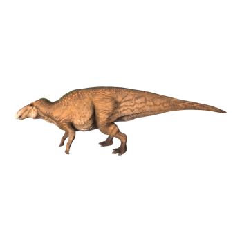 埃德蒙顿龙（3D动画模型）