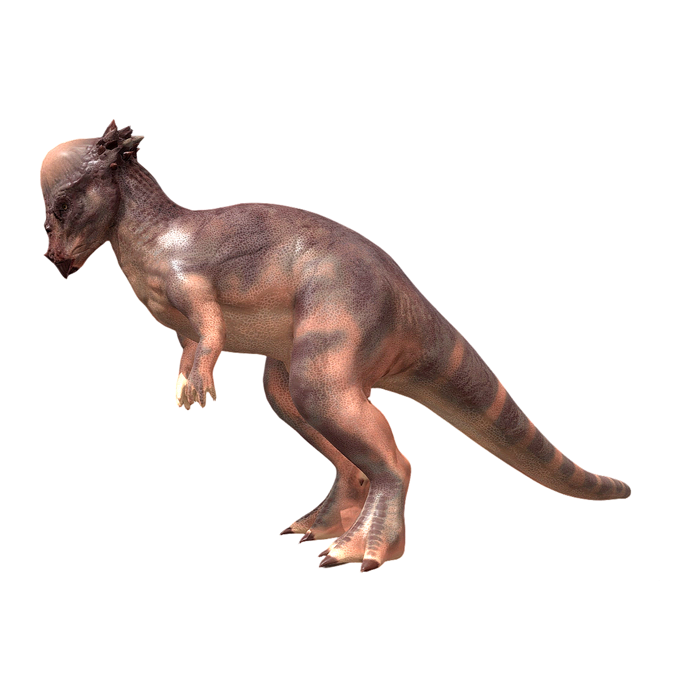 肿头龙（3D动画模型）3D模型预览图，支持blend,fbx,glb,gltf,stl格式下载