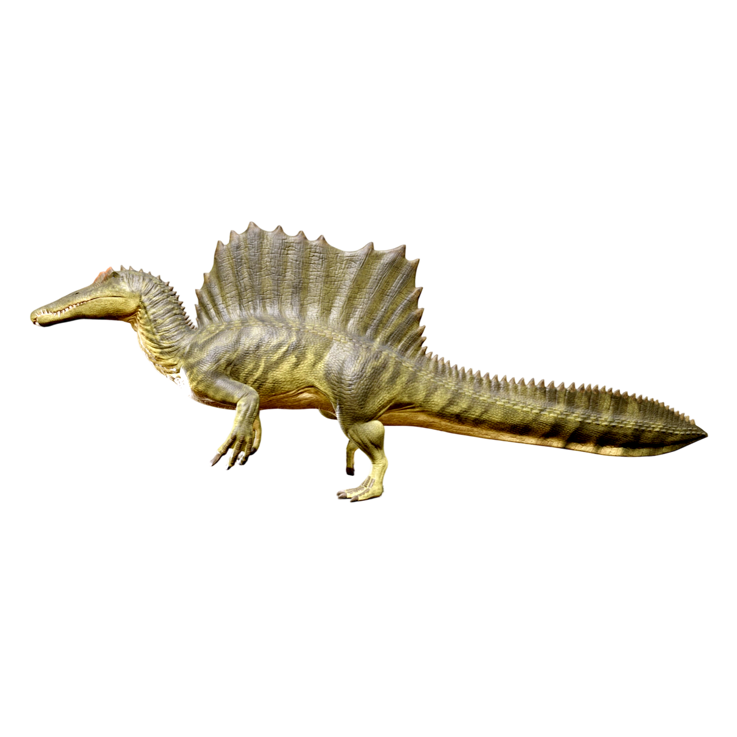 棘龙（3D动画模型）3D模型预览图，支持blend,fbx,glb,gltf,stl格式下载