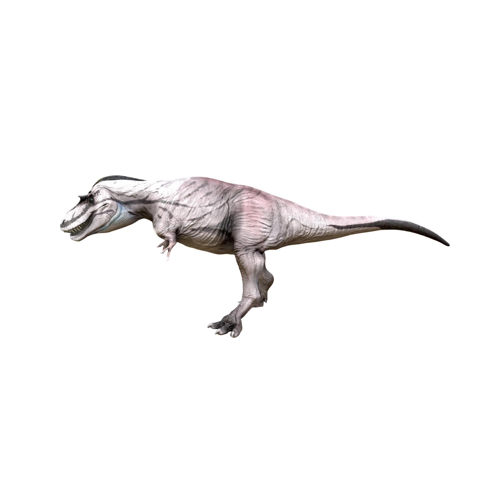 阿尔伯托龙（3D动画模型）3D模型预览图，支持blend,fbx,glb,gltf,stl格式下载