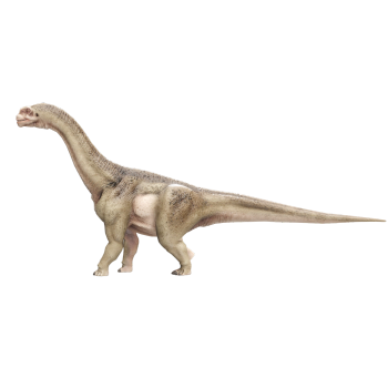 圆顶龙（3D动画模型）