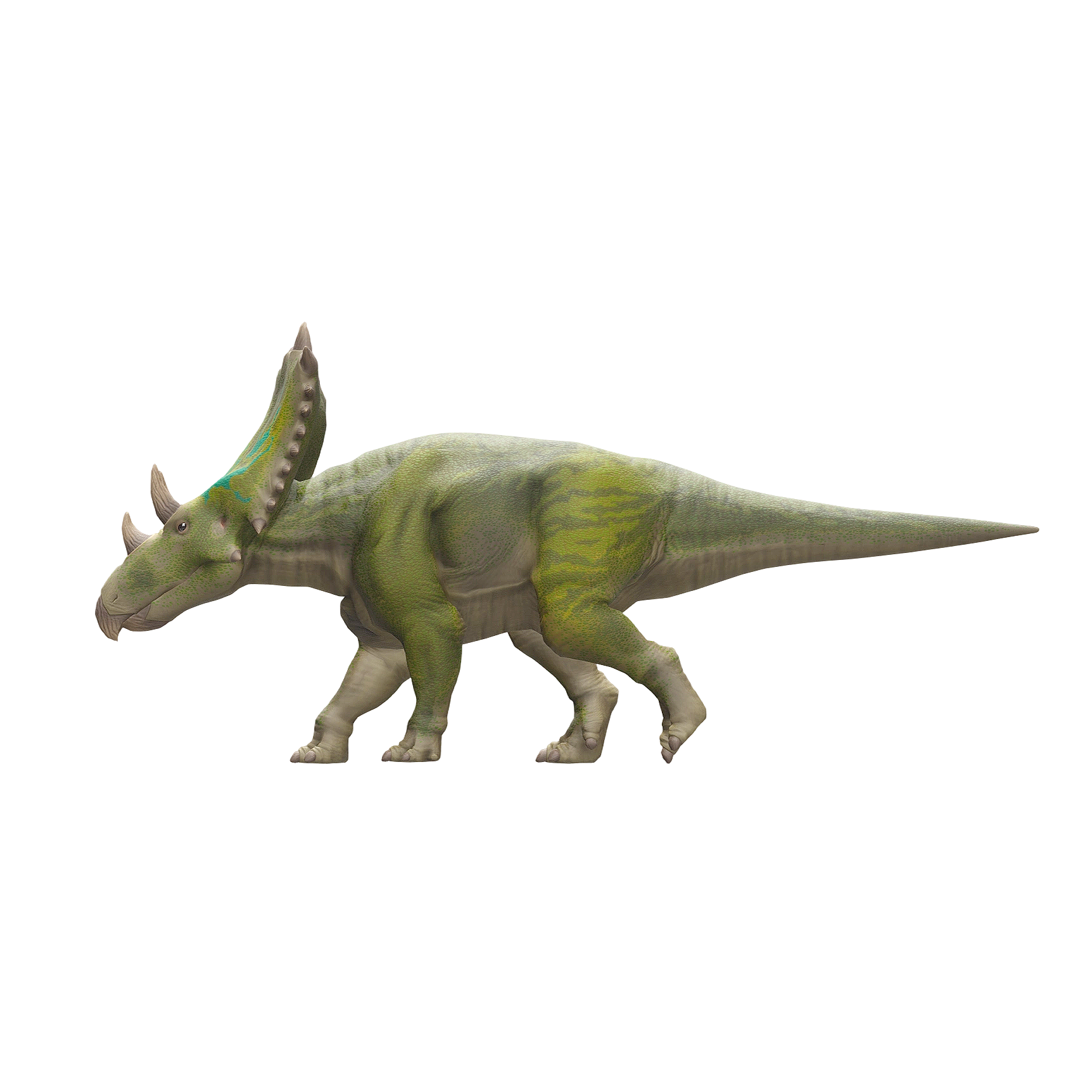 开角龙（3D动画模型）3D模型预览图，支持fbx,glb,gltf,stl,blend格式下载