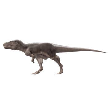 达式吐龙（3D动画模型）