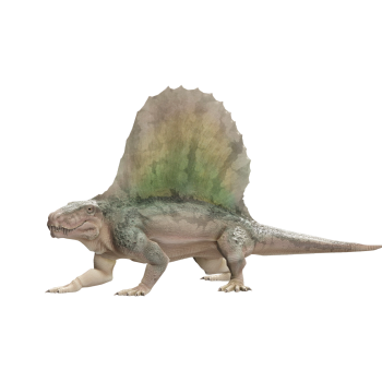 异齿龙（3D动画模型）