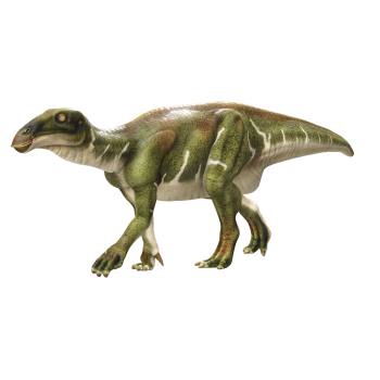 禽龙（3D动画模型）