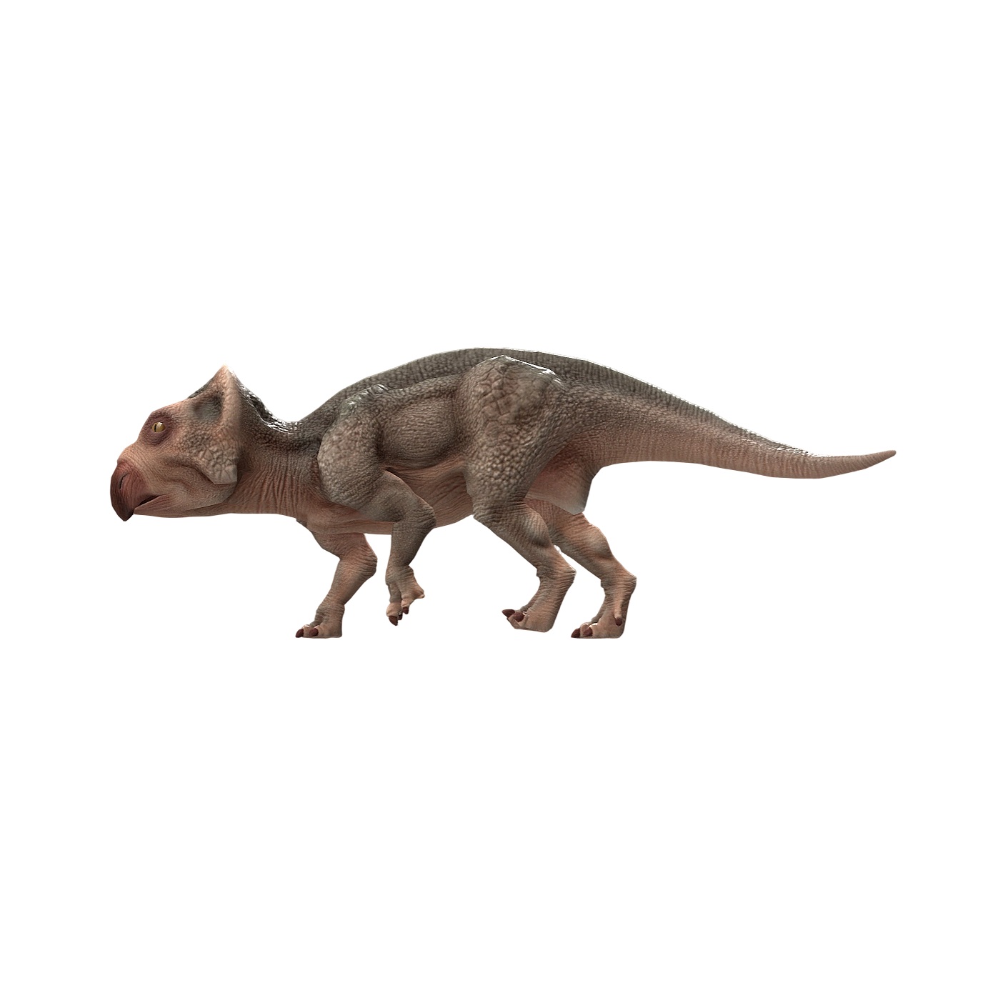 纤角龙（3D动画模型）3D模型预览图，支持blend,fbx,glb,gltf,stl格式下载