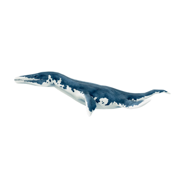 滑齿龙（3D动画模型）