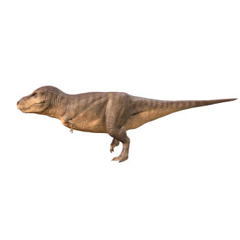 霸王龙（3D动画模型）