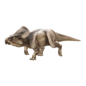 安氏原角龙（3D动画模型）