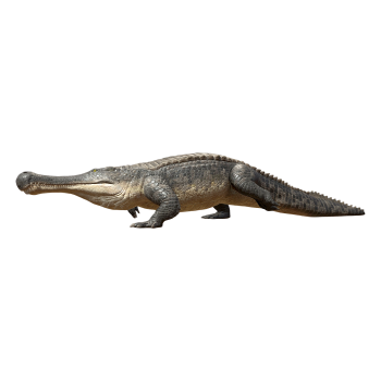 帝鳄（3D动画模型）