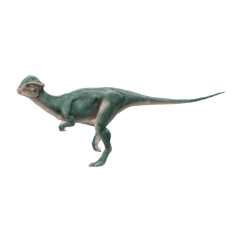 剑角龙（3D动画模型）