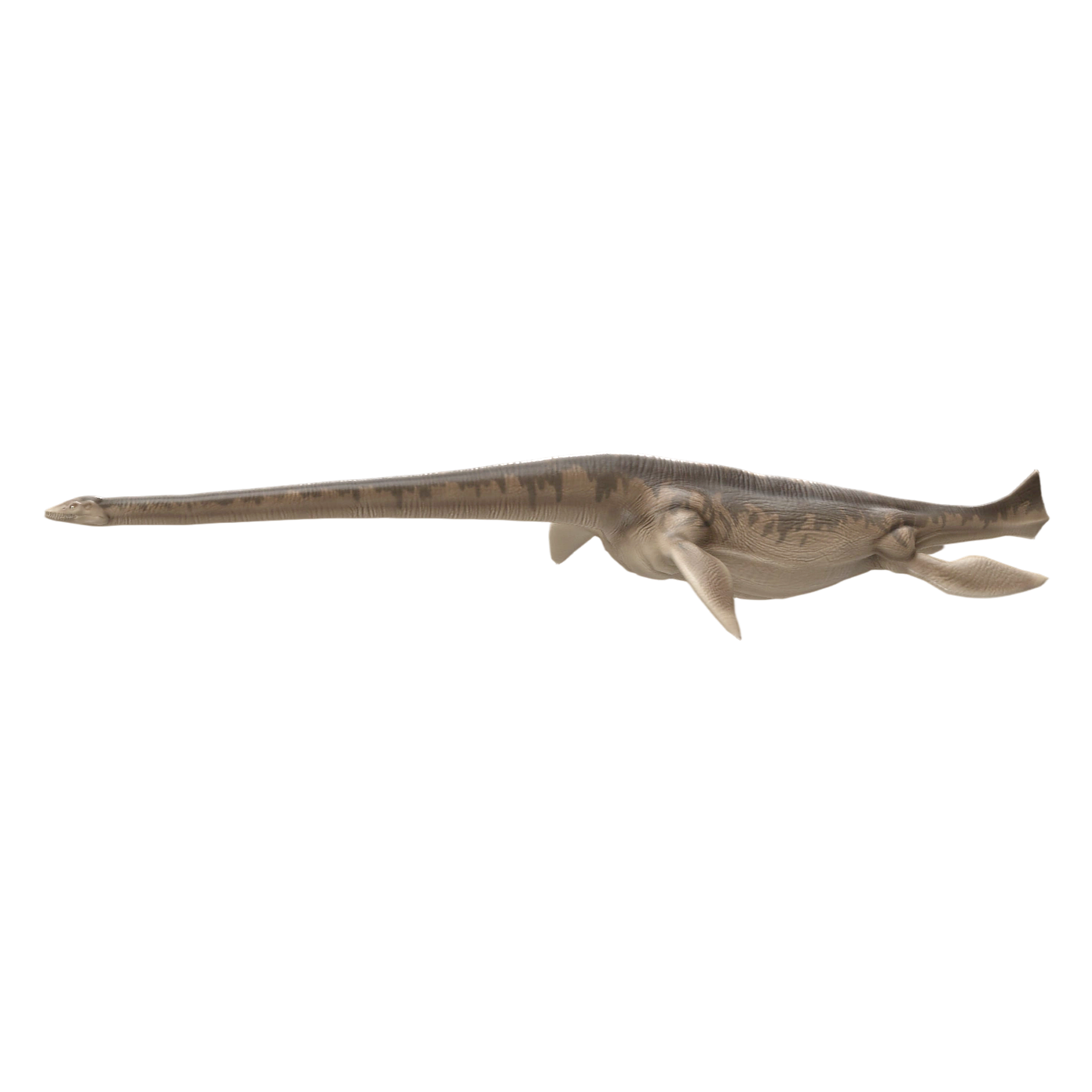 海霸龙（3D动画模型）3D模型预览图，支持blend,fbx,glb,gltf,stl格式下载