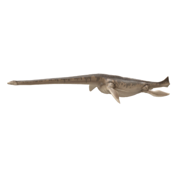 海霸龙（3D动画模型）