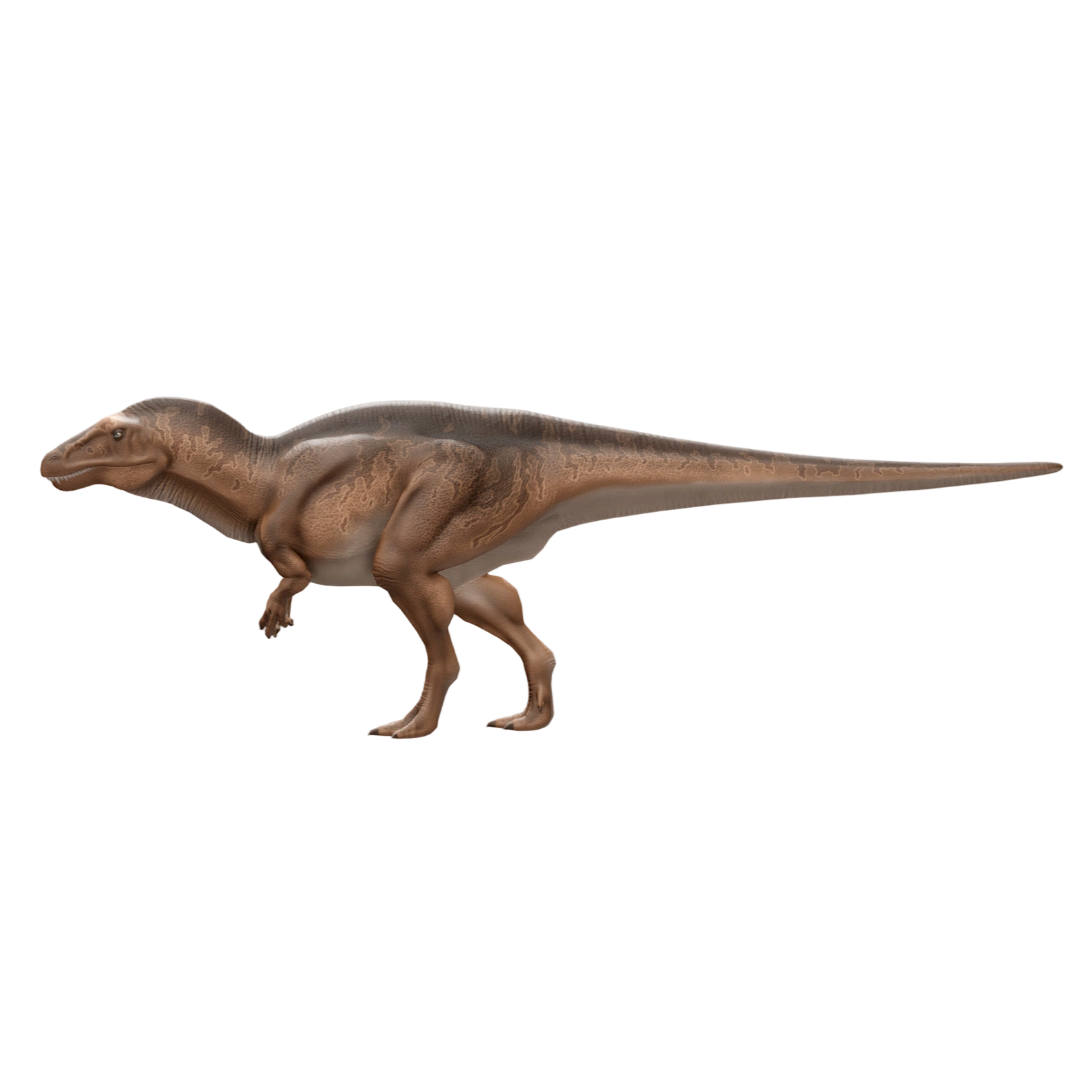 高棘龙（3D动画模型）3D模型预览图，支持fbx,glb,gltf,stl,blend格式下载