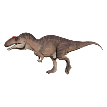 高棘龙（3D动画模型）