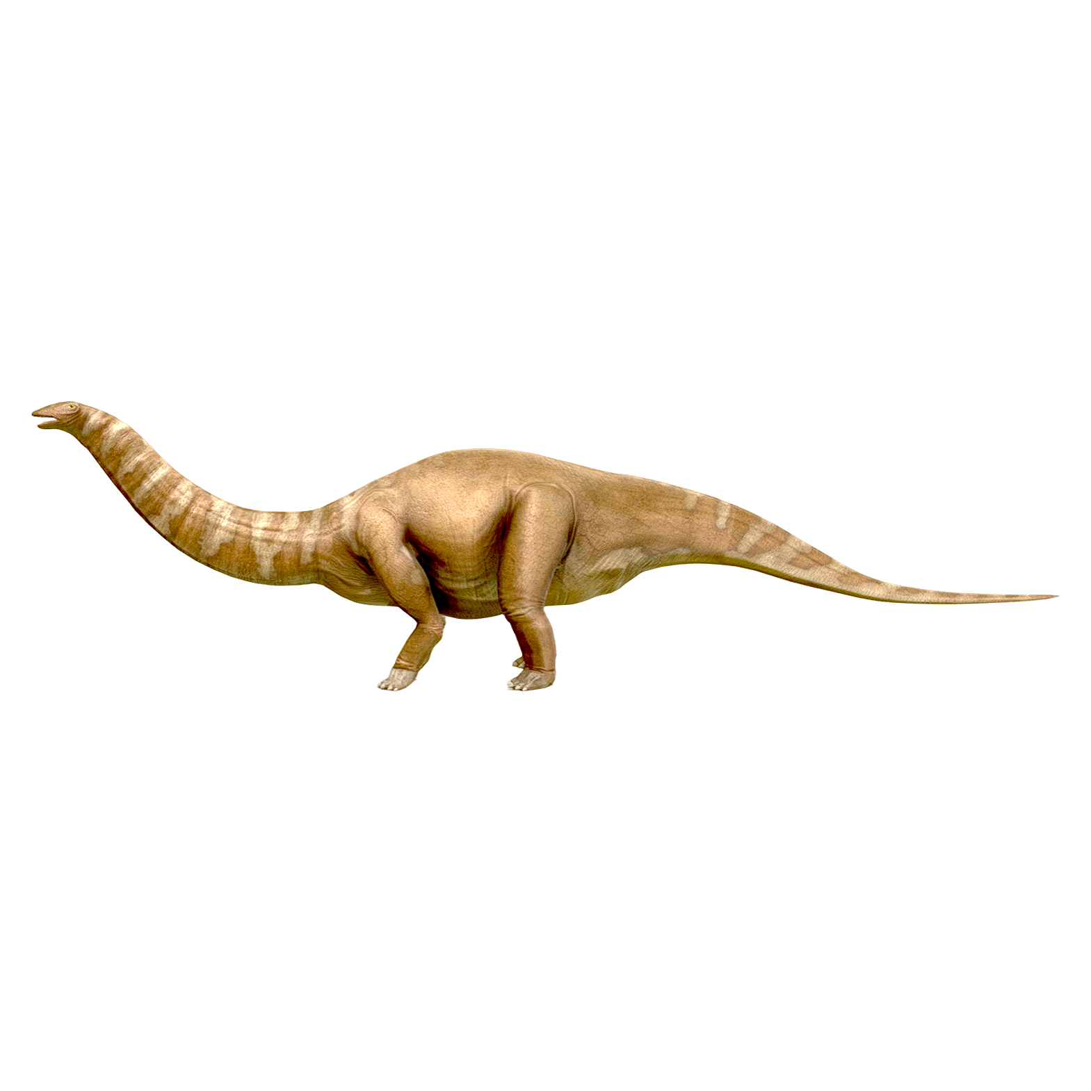 迷惑龙(3D动画模型)3D模型预览图，支持glb,gltf,stl,blend,fbx格式下载