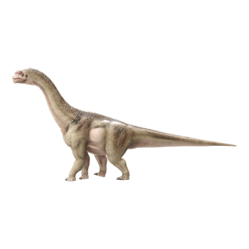 圆顶龙（3D动画模型）