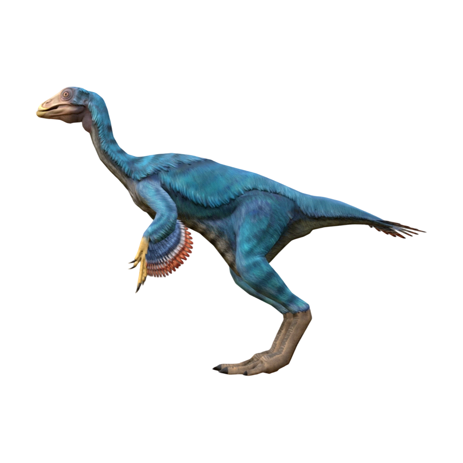 尾羽鸟(3D动画模型)3D模型预览图，支持stl,blend,fbx,glb,gltf格式下载
