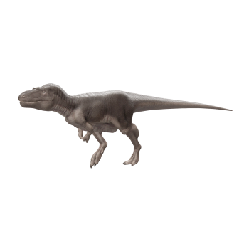 达式吐龙（3D动画模型）