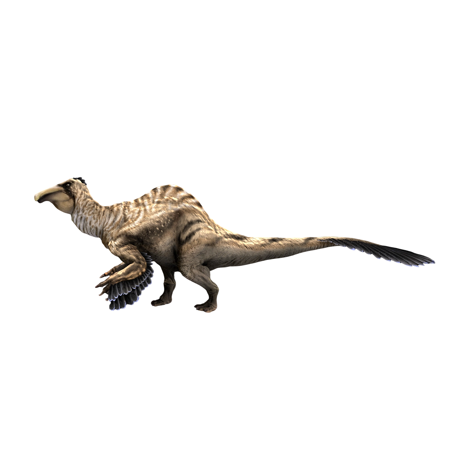 恐手龙(3D动画模型)3D模型预览图，支持stl,blend,fbx,glb,gltf格式下载